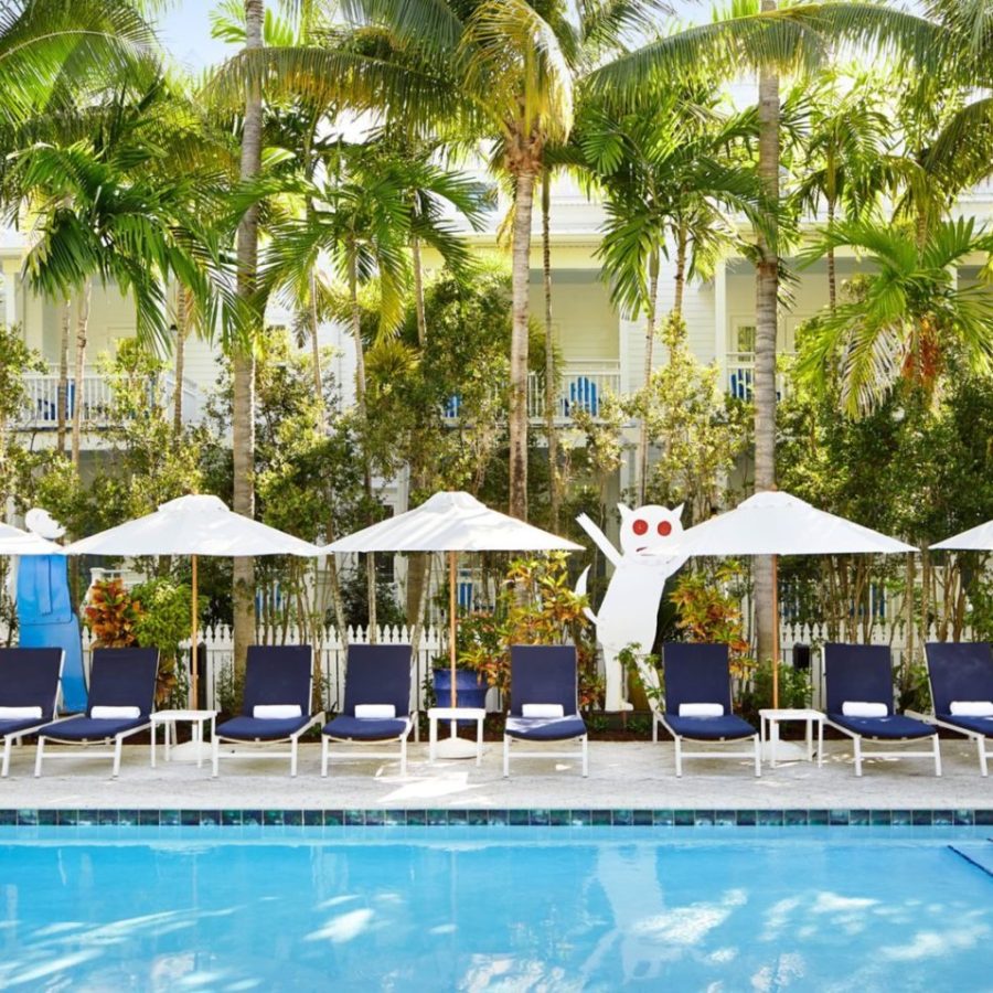 a group of people swimming in a pool of water
