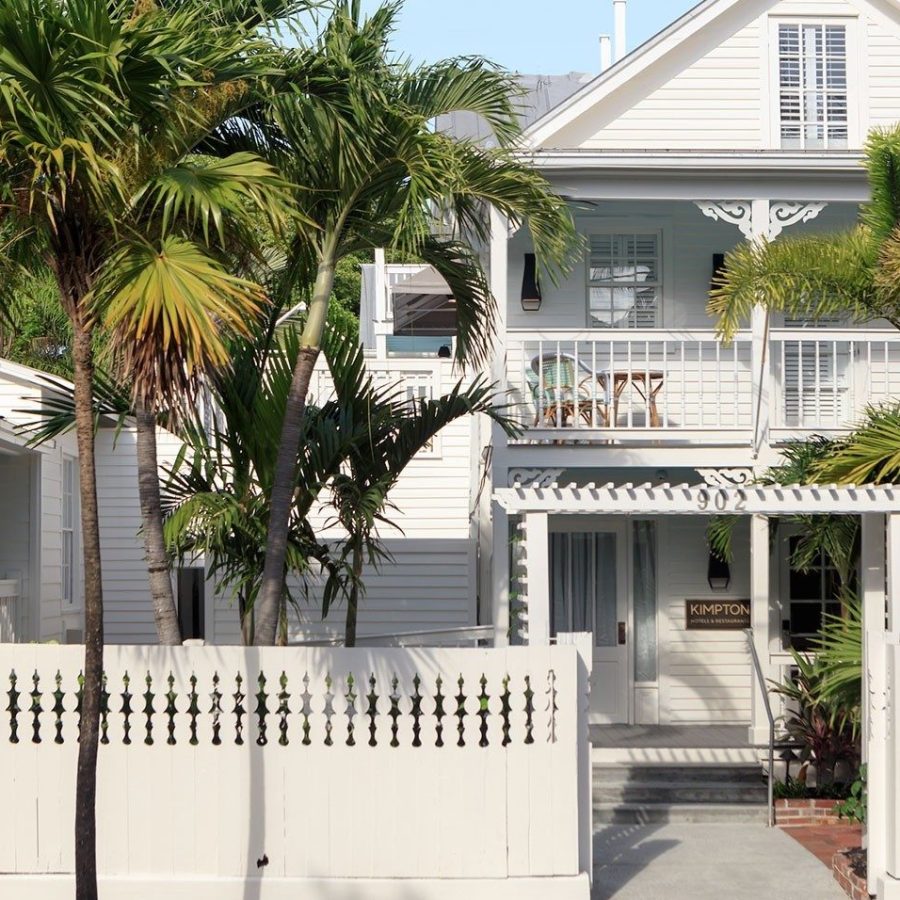 a palm tree in front of a house